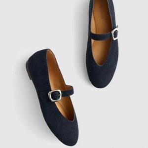 NWT! Mary Jane Flat in Suede